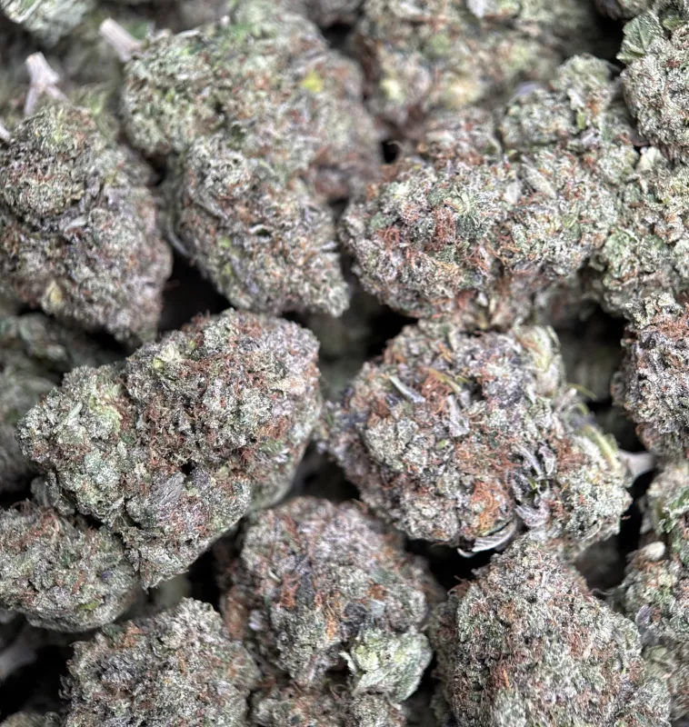 BC Pink Gas product image 2