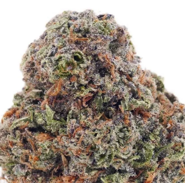 Bruce Banner product image 2