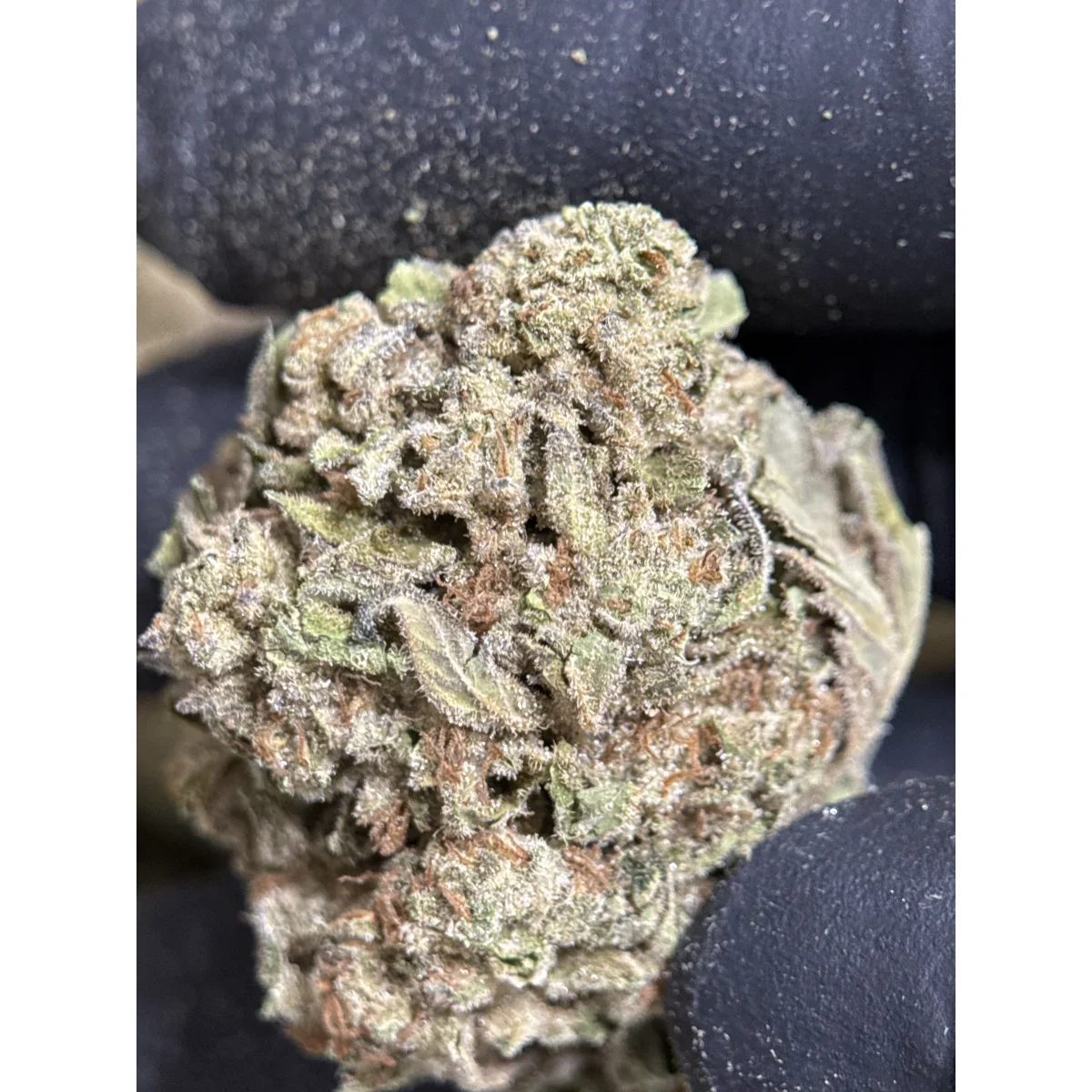 Pink Tuna Kush product image 2