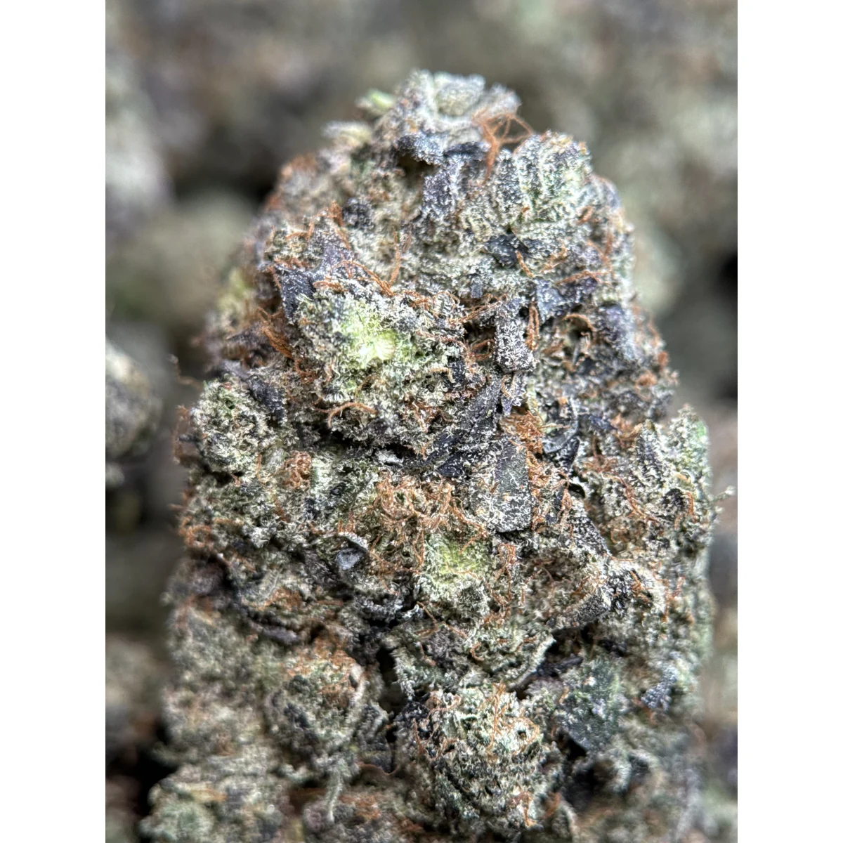 Death Bubba product image 6