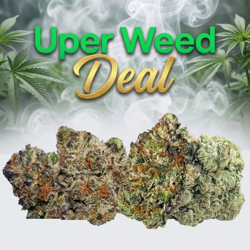 The Billion-Dollar Heavyweight Cali Deal – Full Pound (16 Oz) for $1700