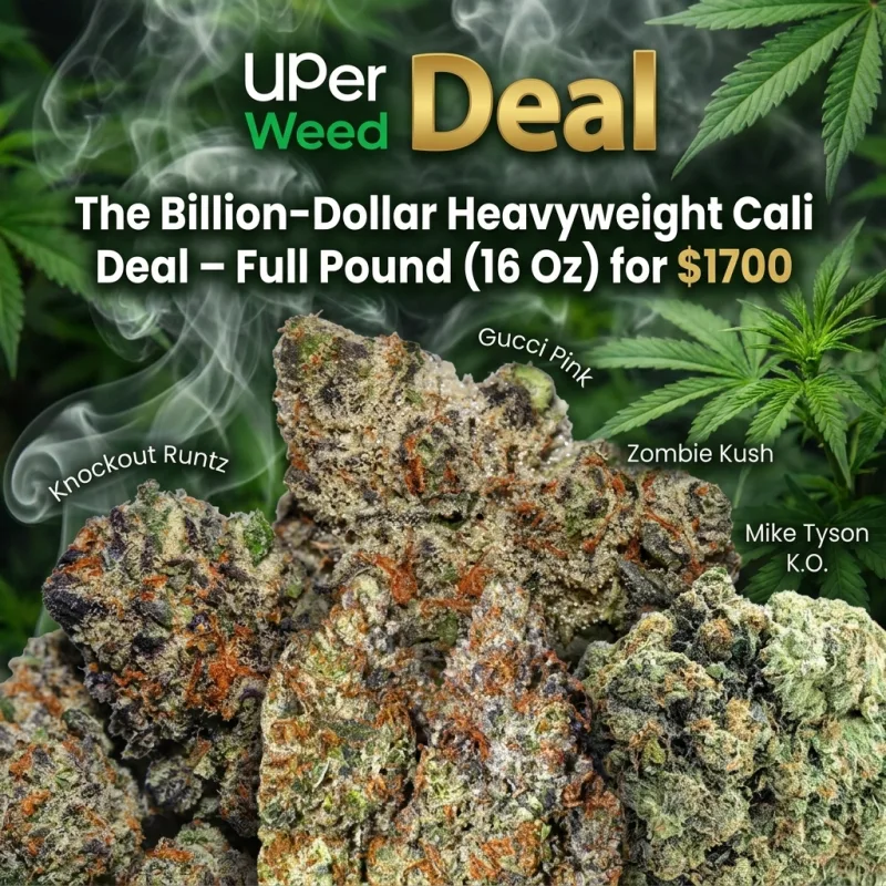 The Billion-Dollar Heavyweight Cali Deal – Full Pound (16 Oz) for $1700 product image 2
