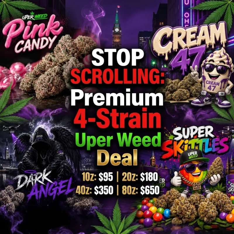STOP SCROLLING: Premium 4-Strain Bundle Deal (1Oz: $95 | 2Oz: $180 | 4Oz: $350 | 8Oz: $650) product image 3