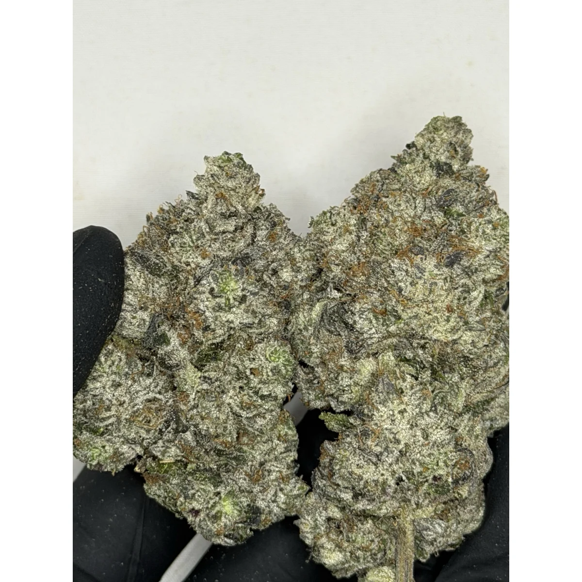 Pink Savage product image 4