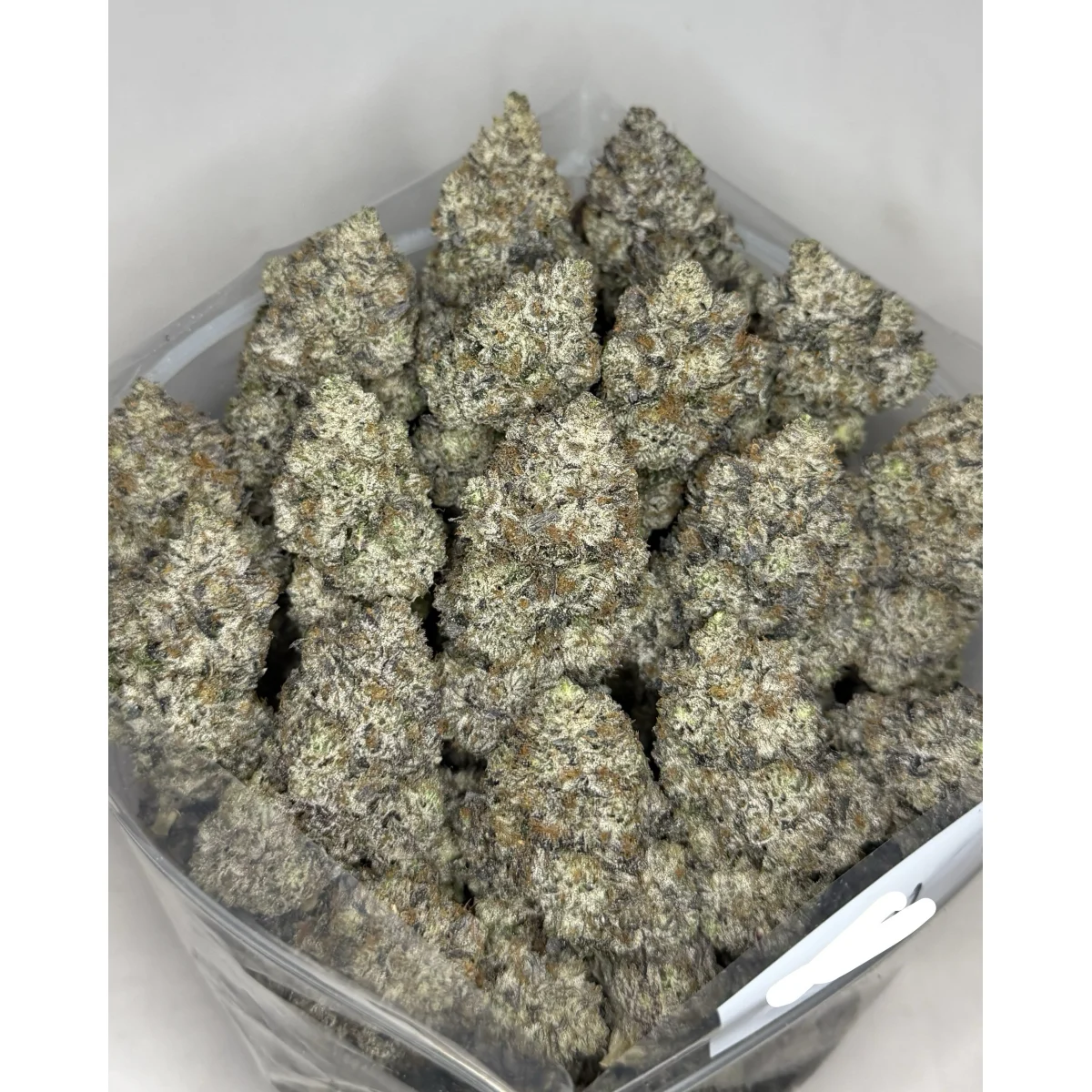 Pink Forbidden Rose product image 3
