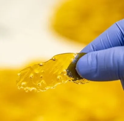 Cereal Milk Shatter product image 2