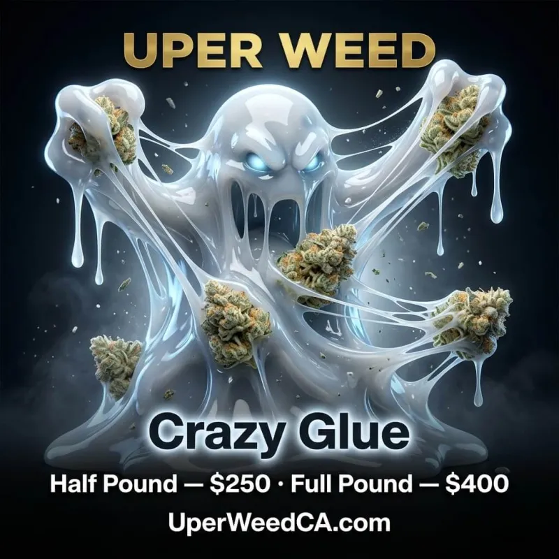 Crazy Glue product image 2
