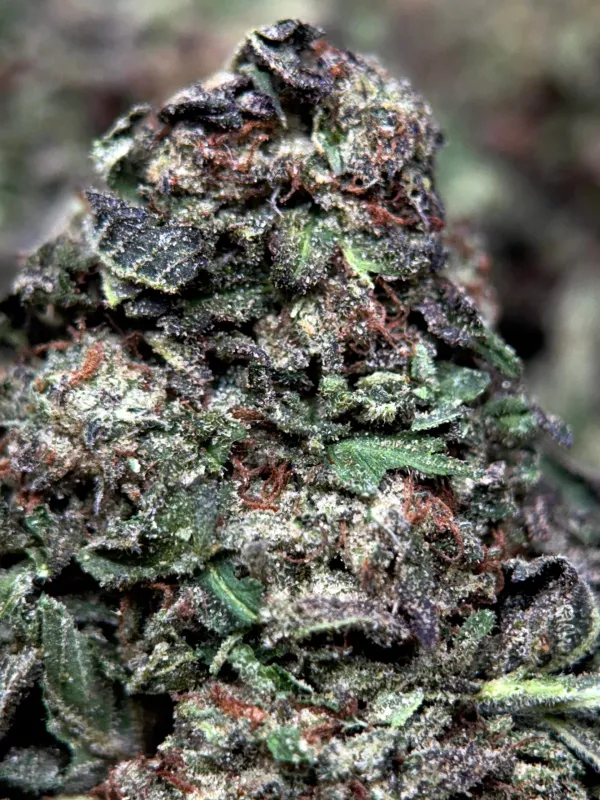 Death Star product image 2