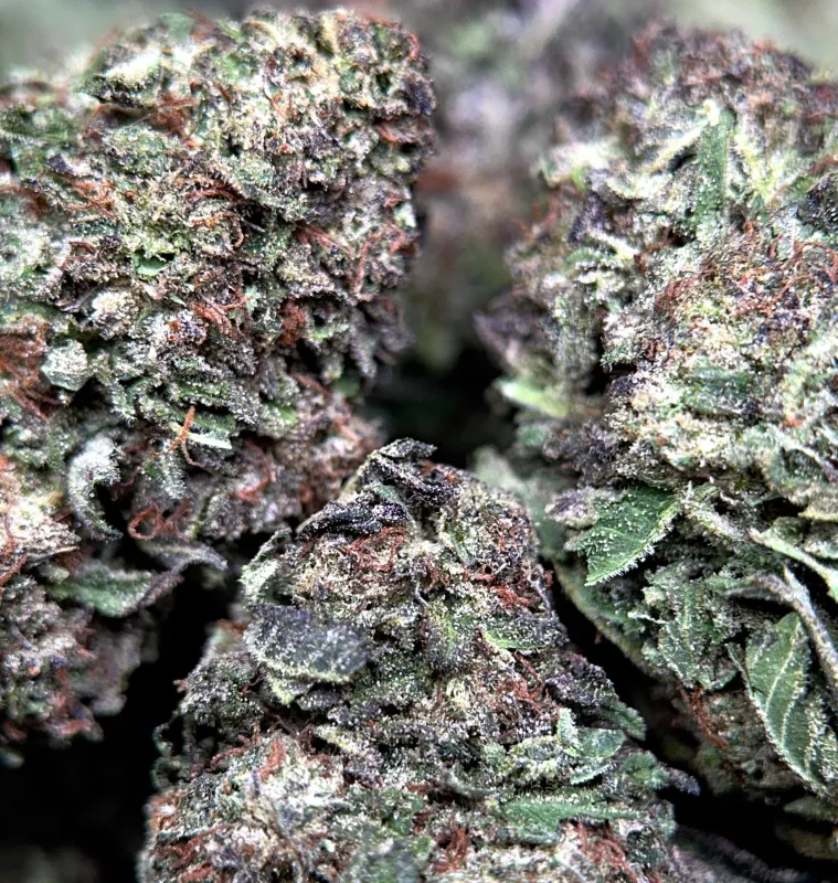 Death Star product image 4