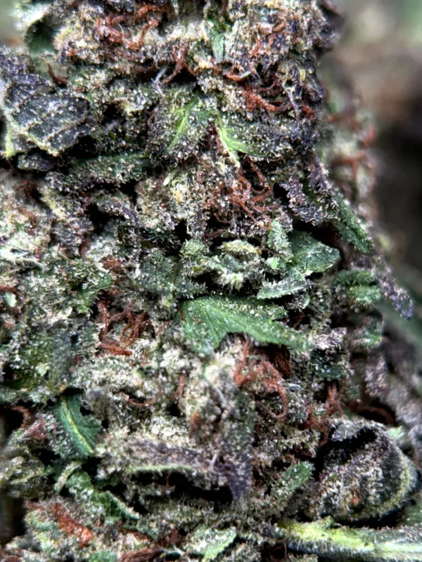 Death Star product image 5