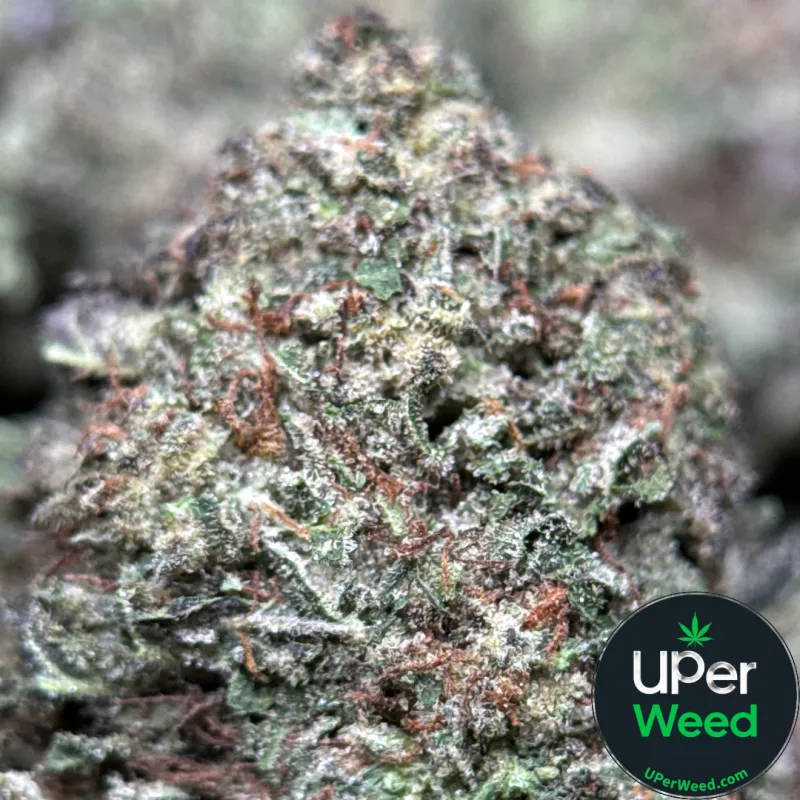 Death Star product image 7
