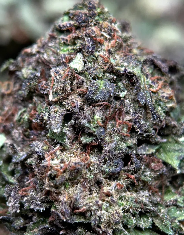 Death Star product image 8