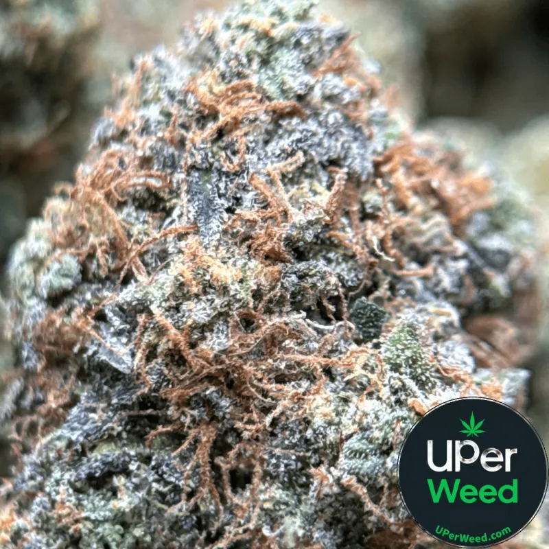 Death Under OG product image 1