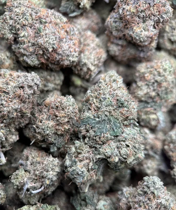 Death Under OG product image 4