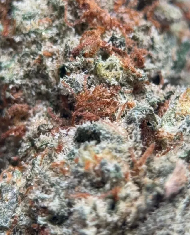 Death Walker OG product image 2