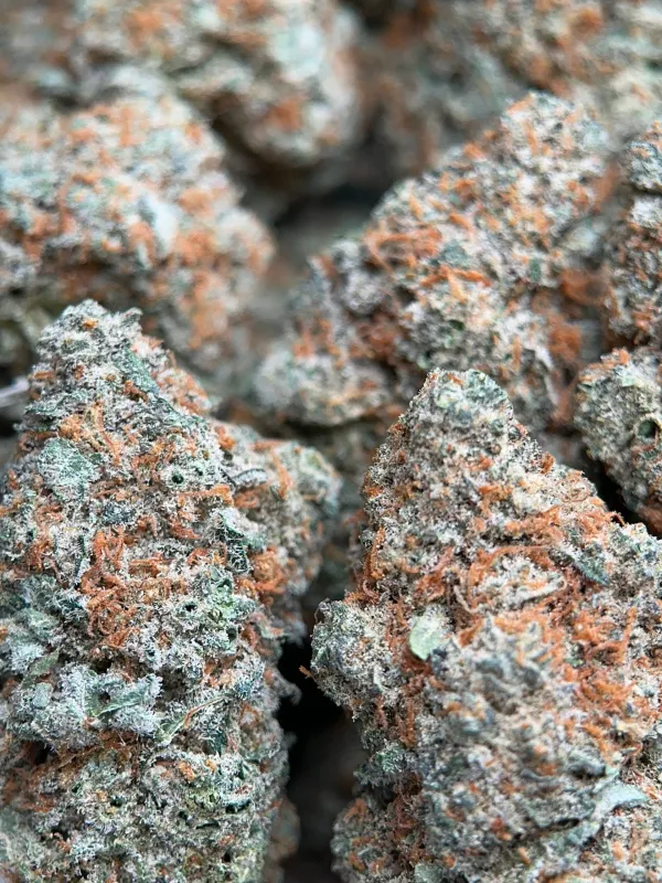 Dragon Haze product image 6