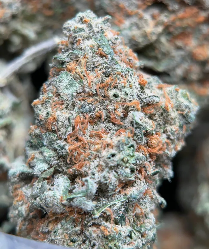 Dragon Haze product image 7