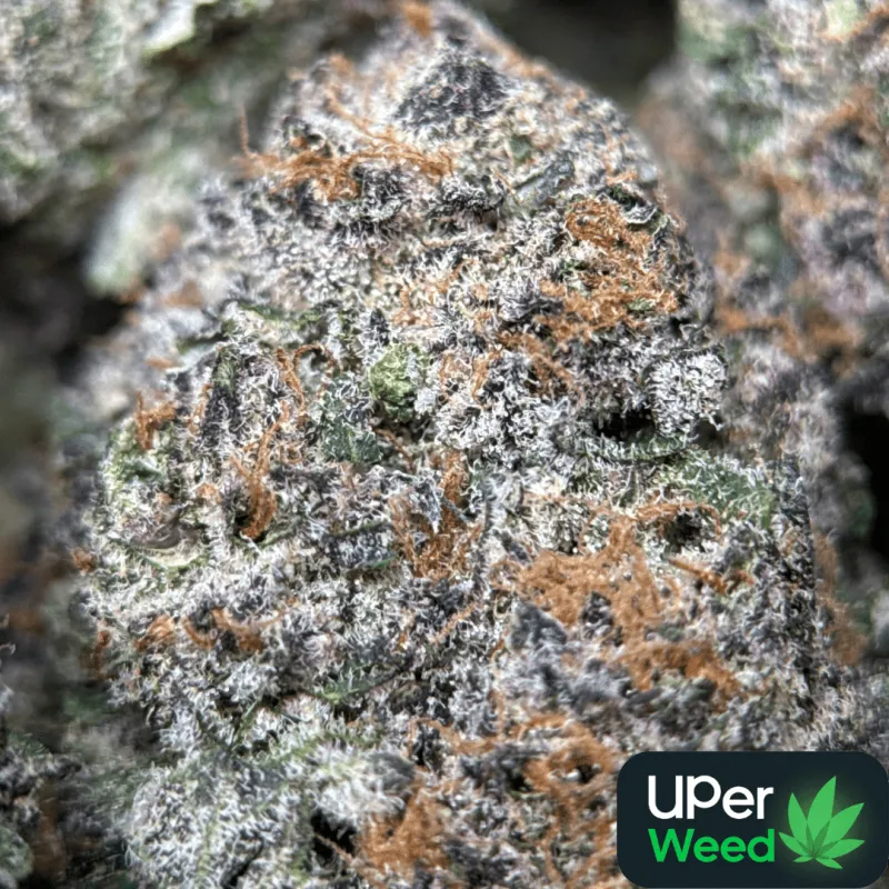 Dynamite Diesel product image 1