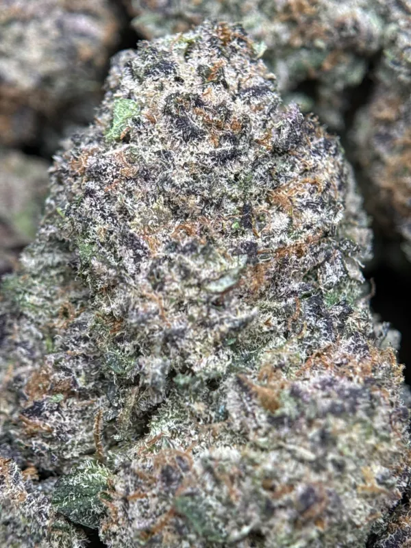 Dynamite Diesel product image 10