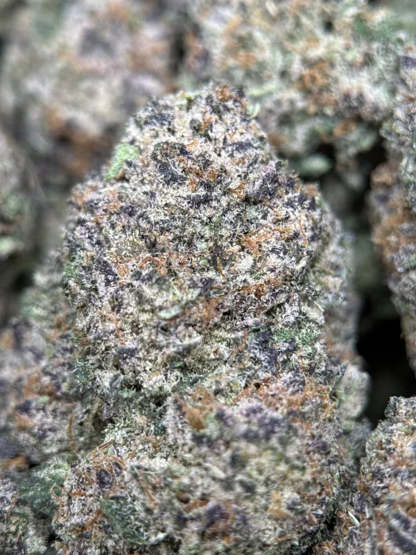 Dynamite Diesel product image 13
