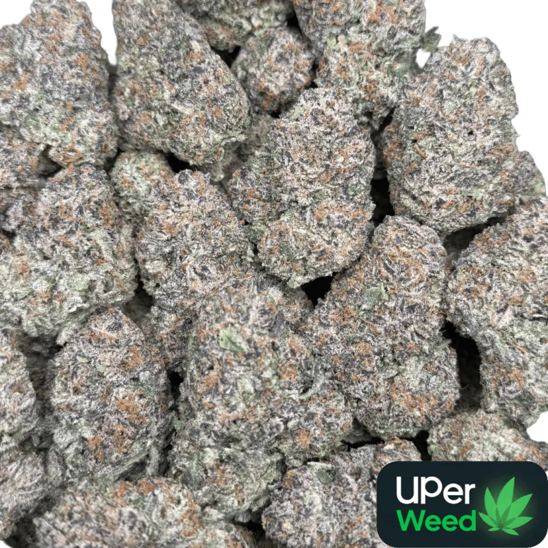 Dynamite Diesel product image 15