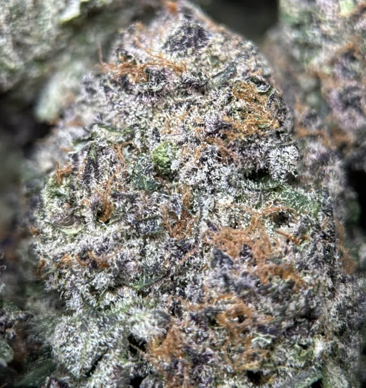 Dynamite Diesel product image 16