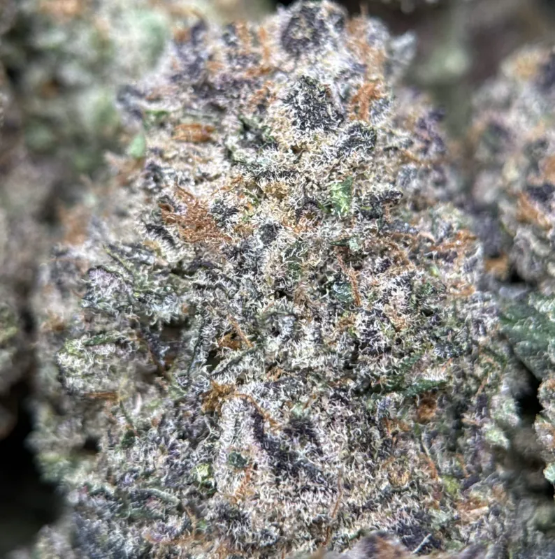 Dynamite Diesel product image 2