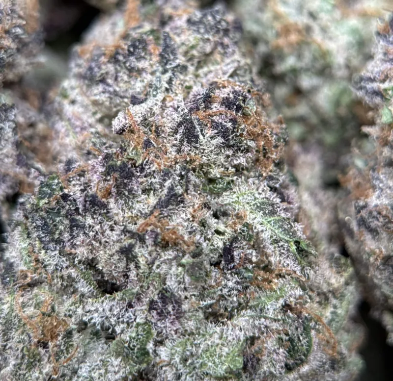Dynamite Diesel product image 7