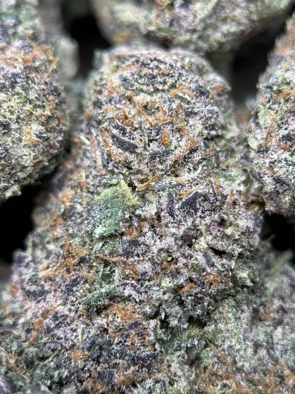 Dynamite Diesel product image 9