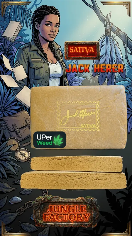 Honey Bee Hash product image 6