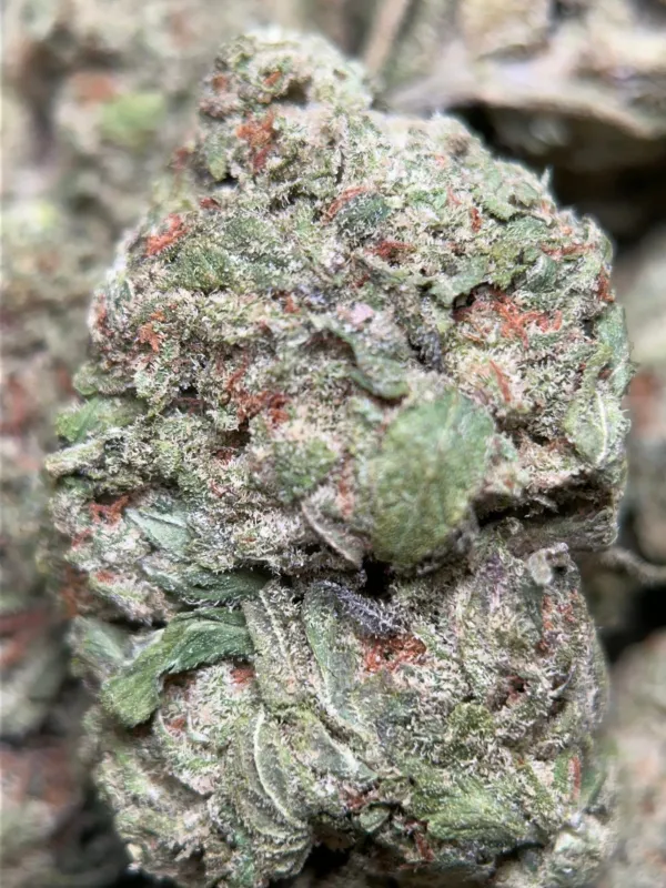 Honey Rock product image 2