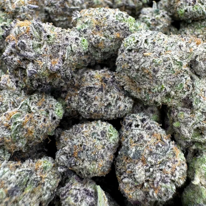 Jack Herer product image 2