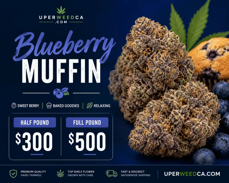 Blueberry Muffin product image 2