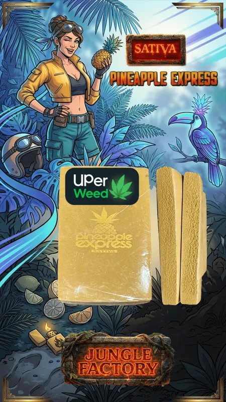 Jack Herer Hash product image 8