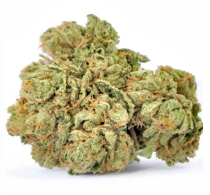 Jungle Cake product image