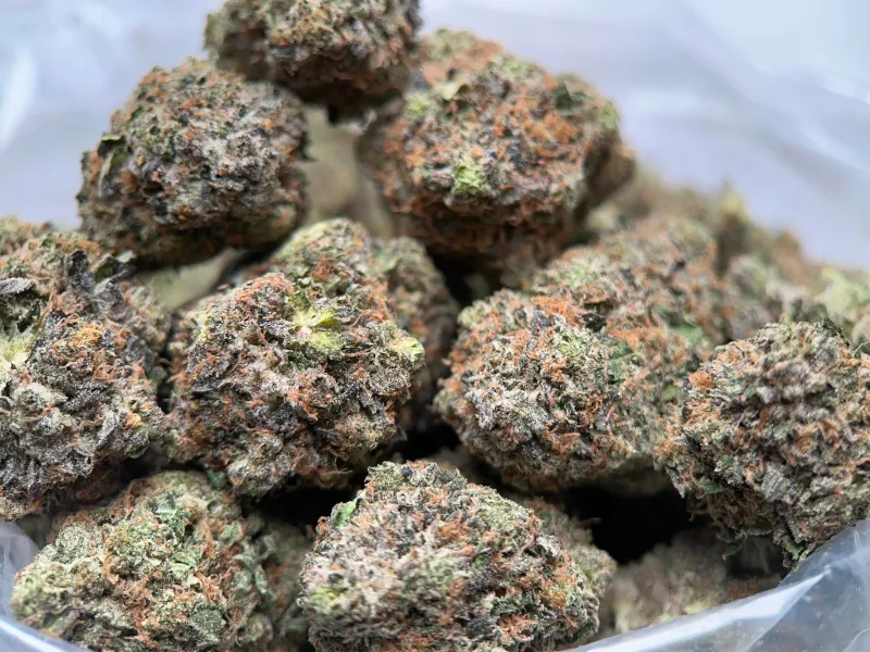 King Louis XIII product image 2