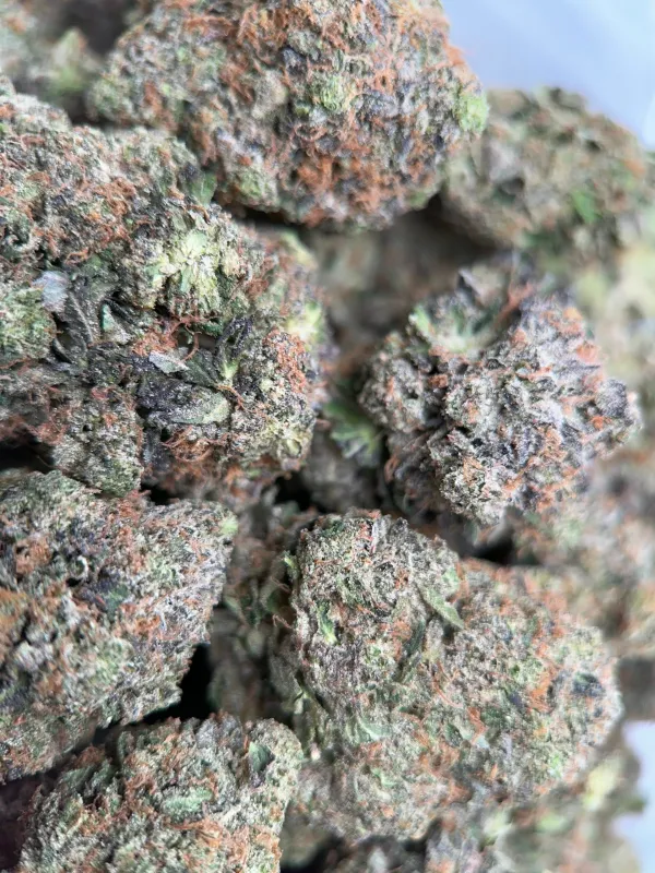 King Louis XIII product image 3