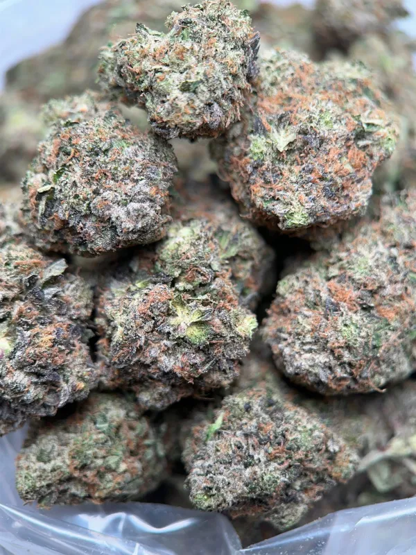 King Louis XIII product image 4