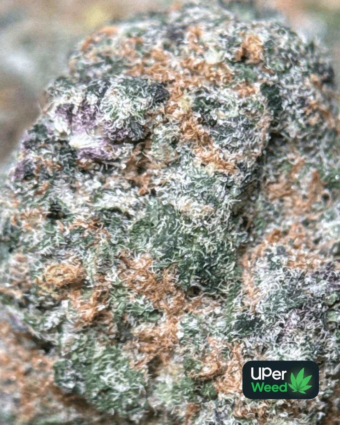 Lemonade Haze product image 6