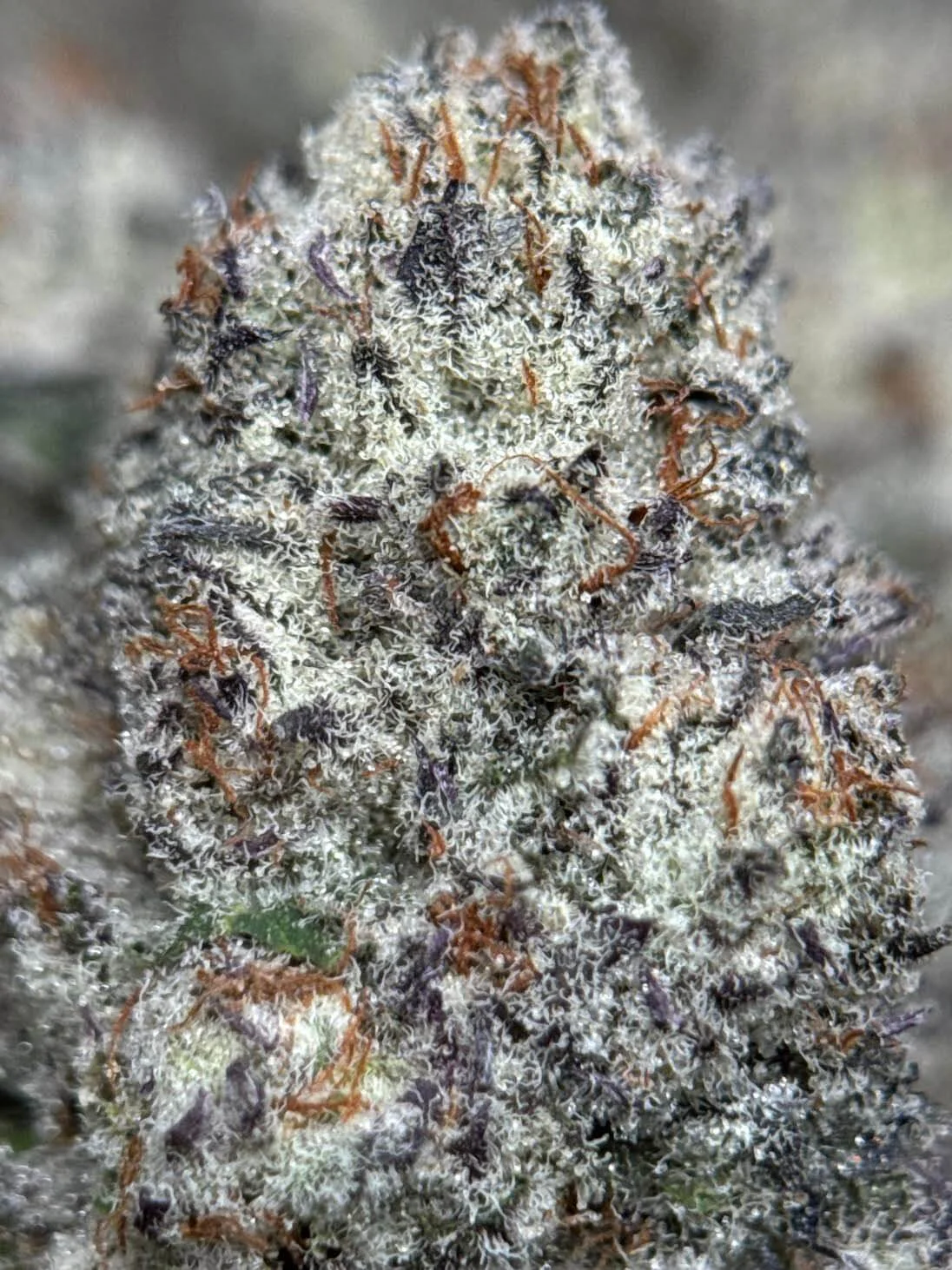 Moon Meltdown product image 1