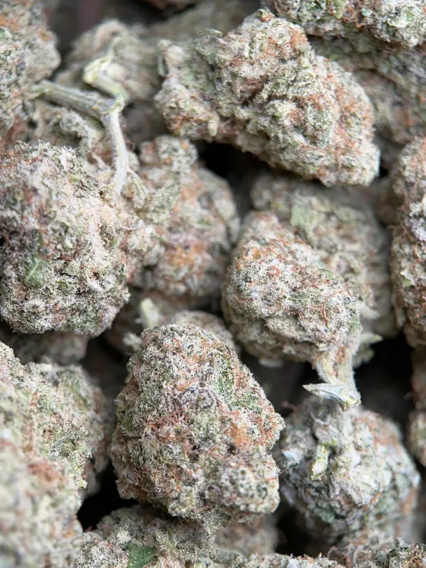 Phoenix Haze product image 2