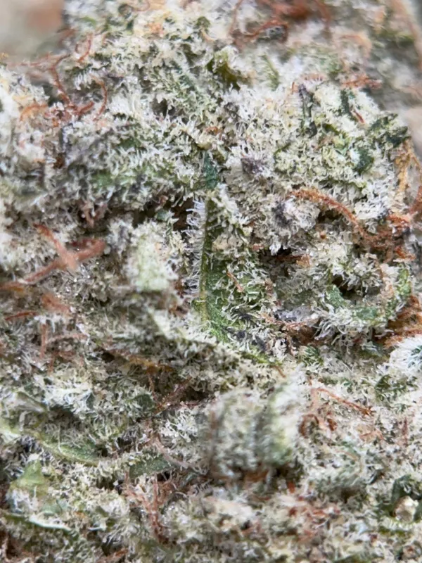 Phoenix Haze product image 3