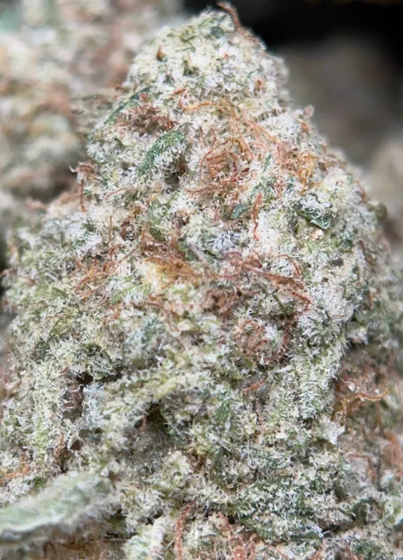 Phoenix Haze product image 4