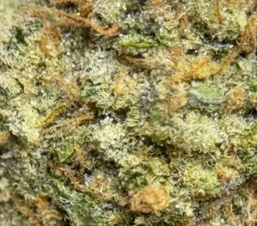 Pie Hoe product image 3