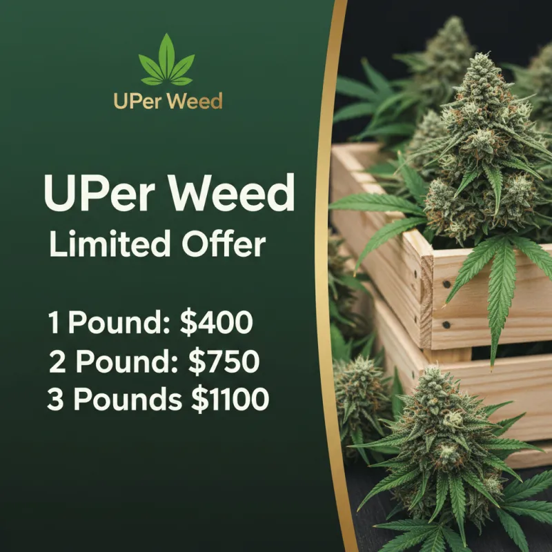 Pineapple Haze product image 2