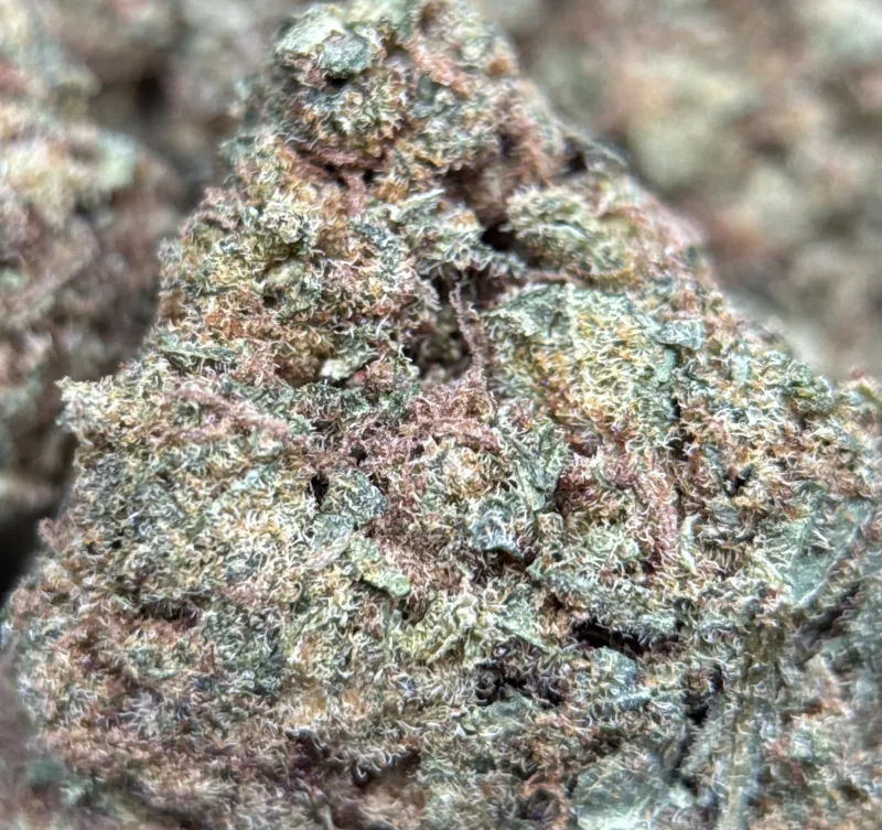 Pineapple Haze product image 4