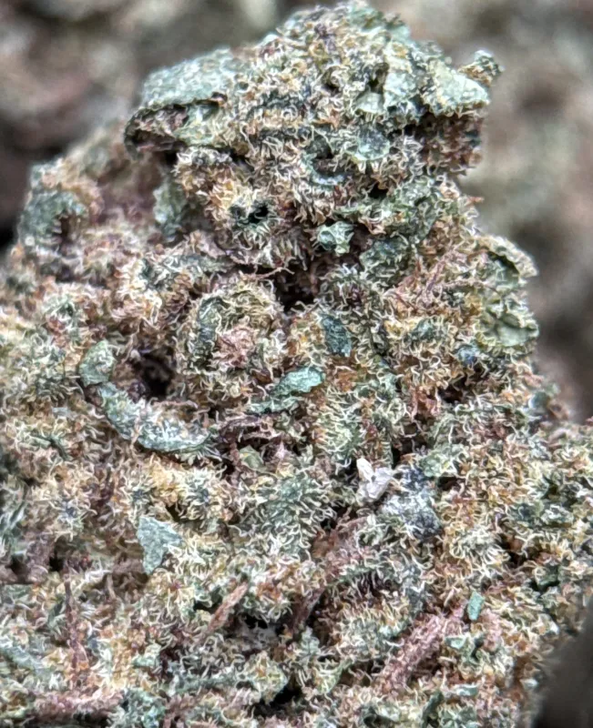 Pineapple Haze product image 5