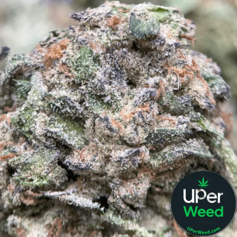 Pink Diesel product image 2