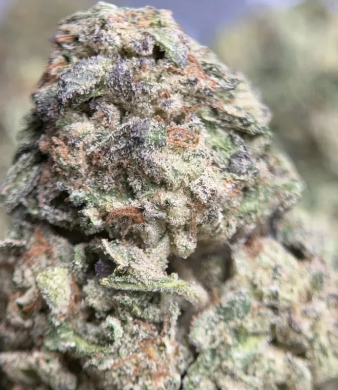 Pink Diesel product image 3