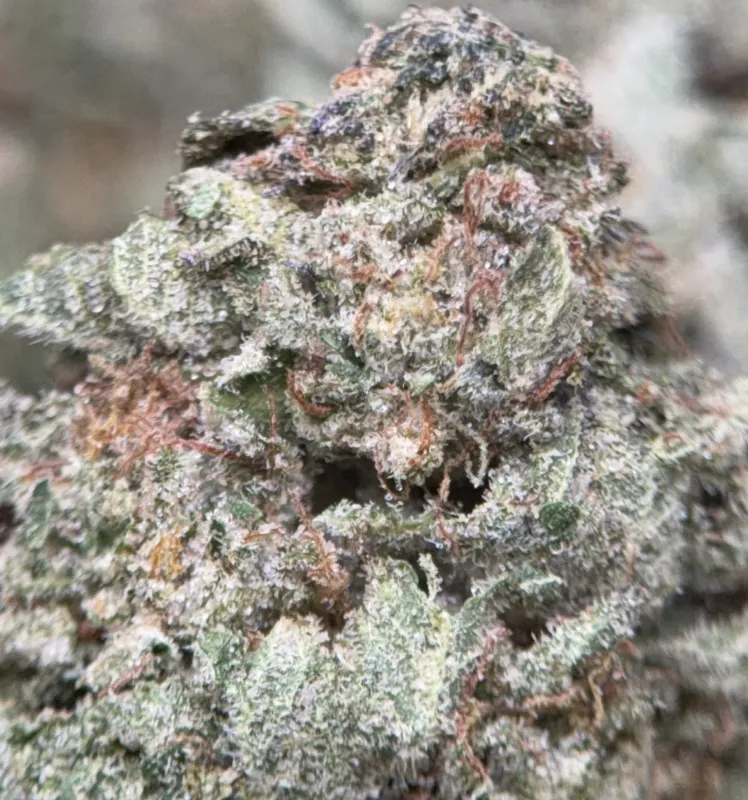 Pink Diesel product image 5